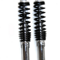 E-BİKE DÜNYA MODELİ ARKA AMORTİSÖR TAKIM AYARLI